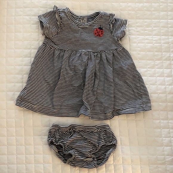Carter's Other - Carter’s Lady Bug Striped Dress and Bloomers 3m